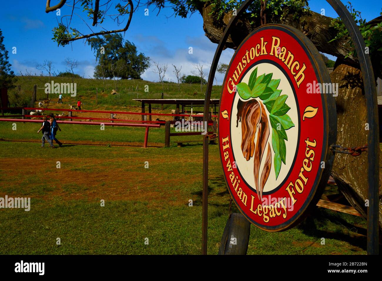Hanging sign, Hawaiian Legacy Forest, with horse head and leaves logo ...