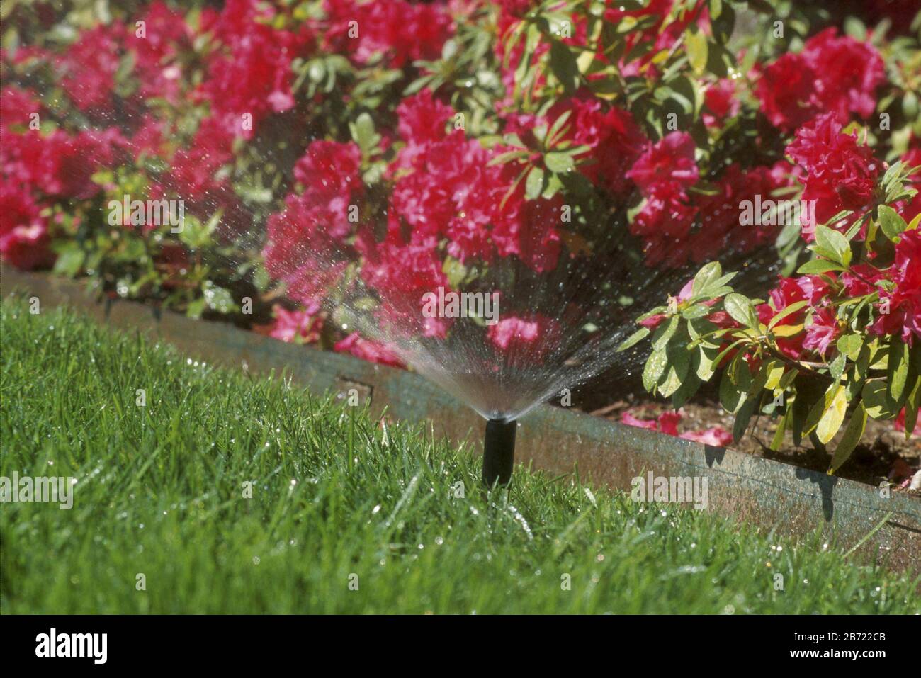 Austin Texas USA Lawn sprinkler on grounds of Four Seasons Hotel in