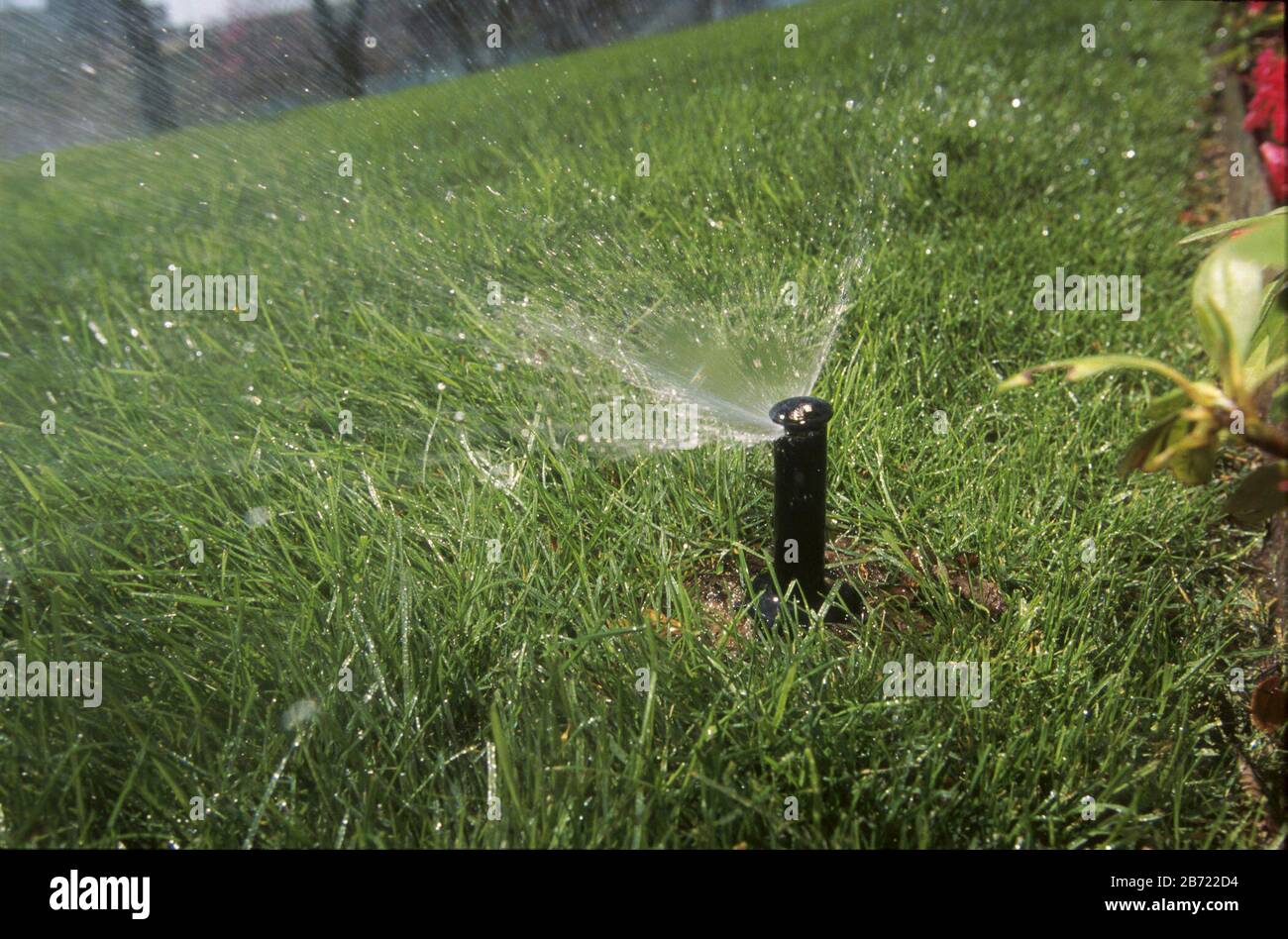 Austin Texas USA Lawn sprinkler on grounds of Four Seasons Hotel in