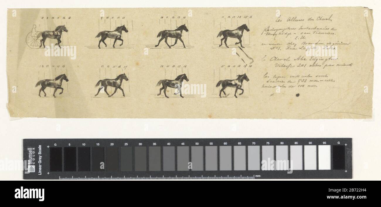 Super Les allures du cheval Tekeningen van een paarden in draf, naar een IM-93