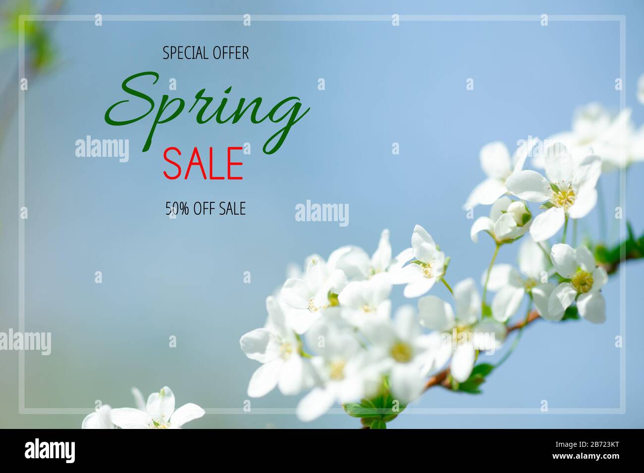 Text SPRING SALE. Cerasus besseyi L.H.Bailey Lunell white small flowers on branches. Dwarf cherry blossoms in spring. The background for spring screen Stock Photo