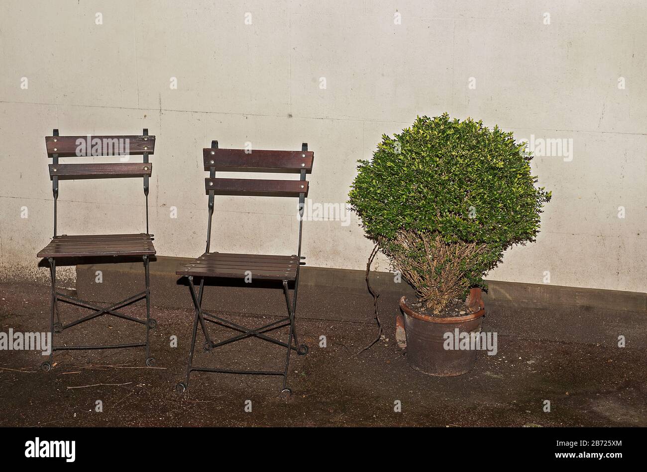 Two Chairs and potted plant Stock Photo