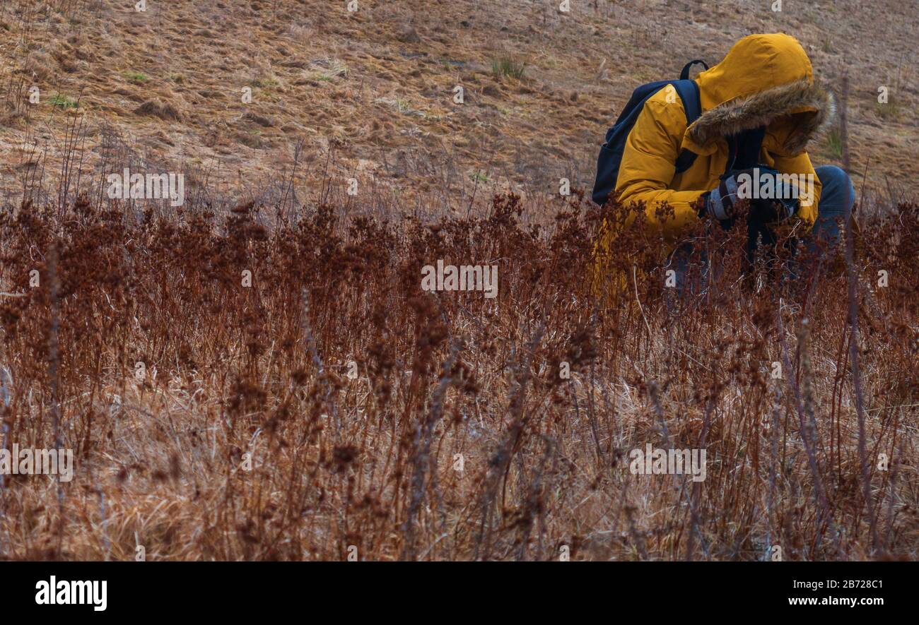 Photographer in the field shoots grass, flowers. Stock Photo