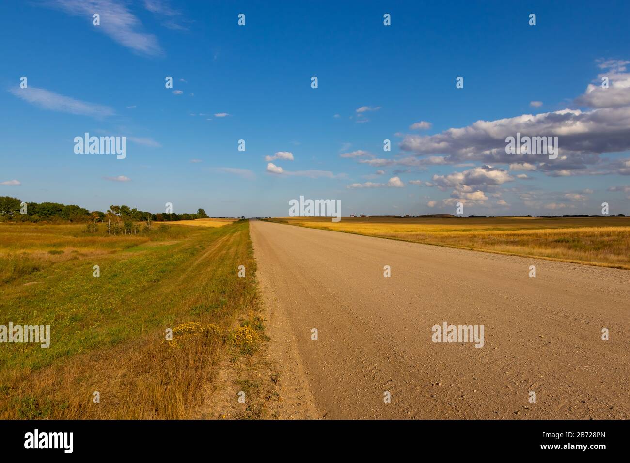 Saskatchewan wheat field hires stock photography and images Alamy