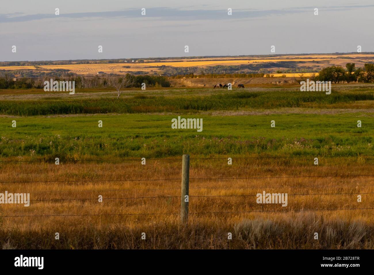 A view of distant pasture lands in the rural country side of the Saskatchewan prairies Stock Photo