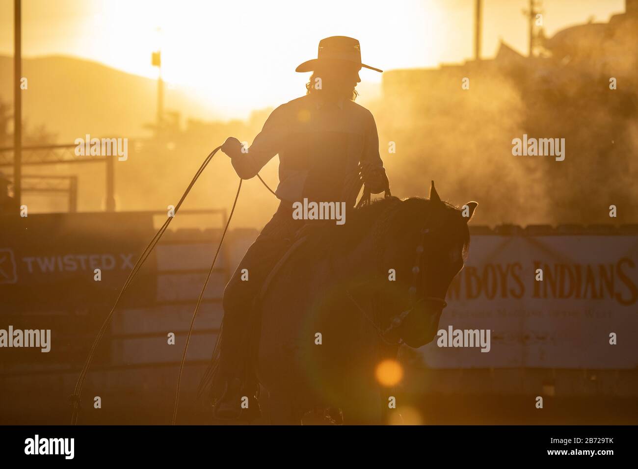 Roping Cowboy Stock Photo