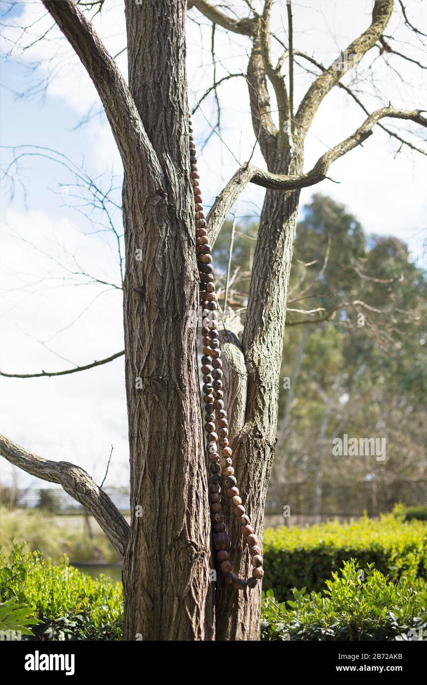 "Rise" an art garden at Cornerstone Sonoma gardens in Sonoma