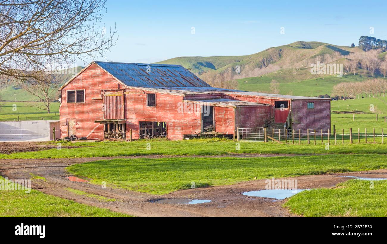 A barn on a farm between Ohinewai and Tahuna, Waikato Region,  Eastern North Island, New Zealand. Stock Photo
