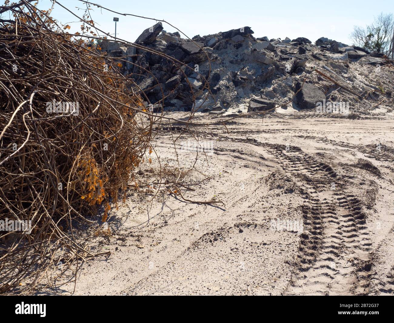Heavy Equipment Tire Tracks at Road Demolition Site, pile of dead Shrubs, Branches, Roots, in background huge pile of Concrete and Asphalt View #1 Stock Photo