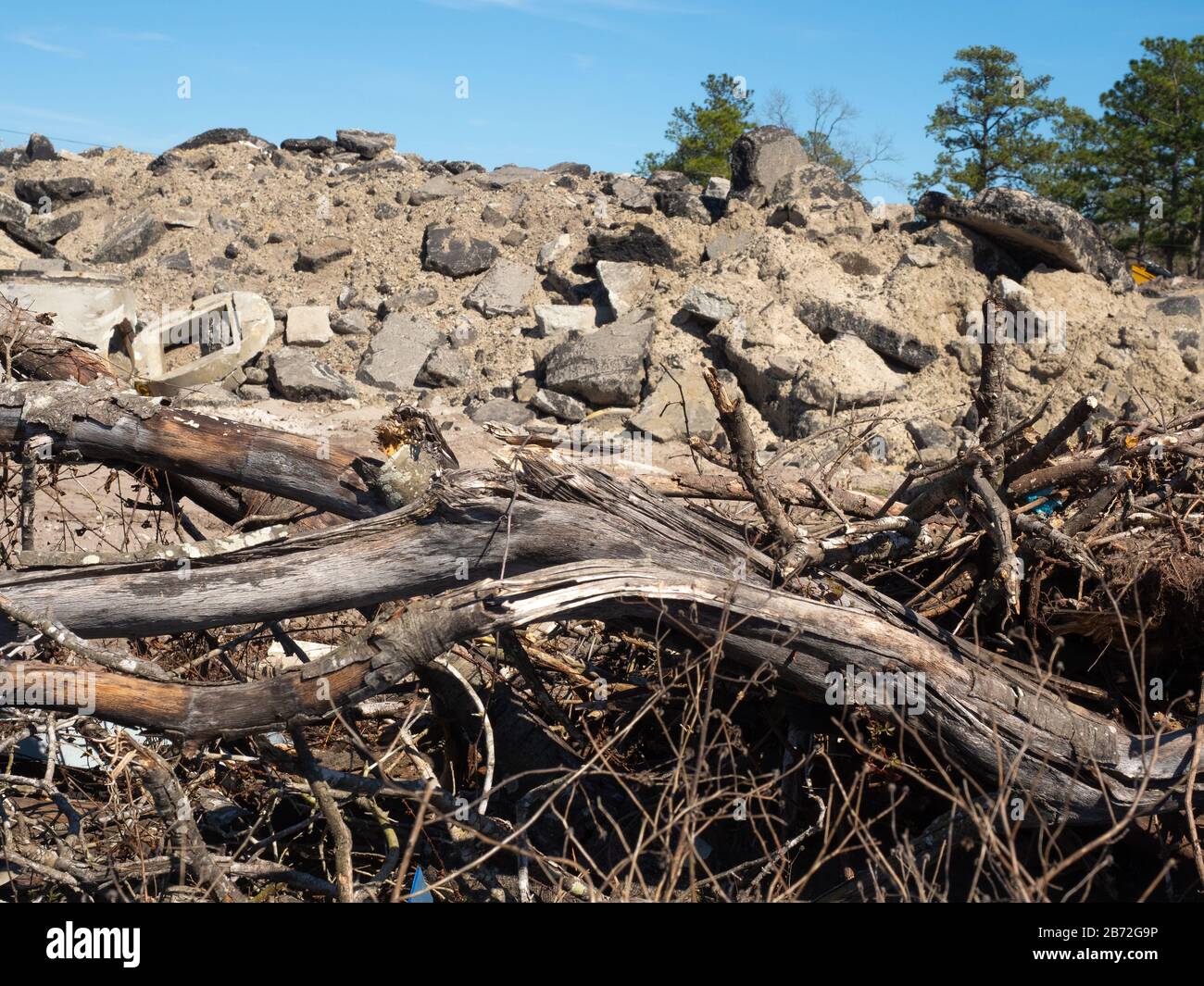 Dead Trees lying prone in front of mountain of Road Rubble, demolition, huge sections of concrete and asphalt road pavement in background View #2 Stock Photo