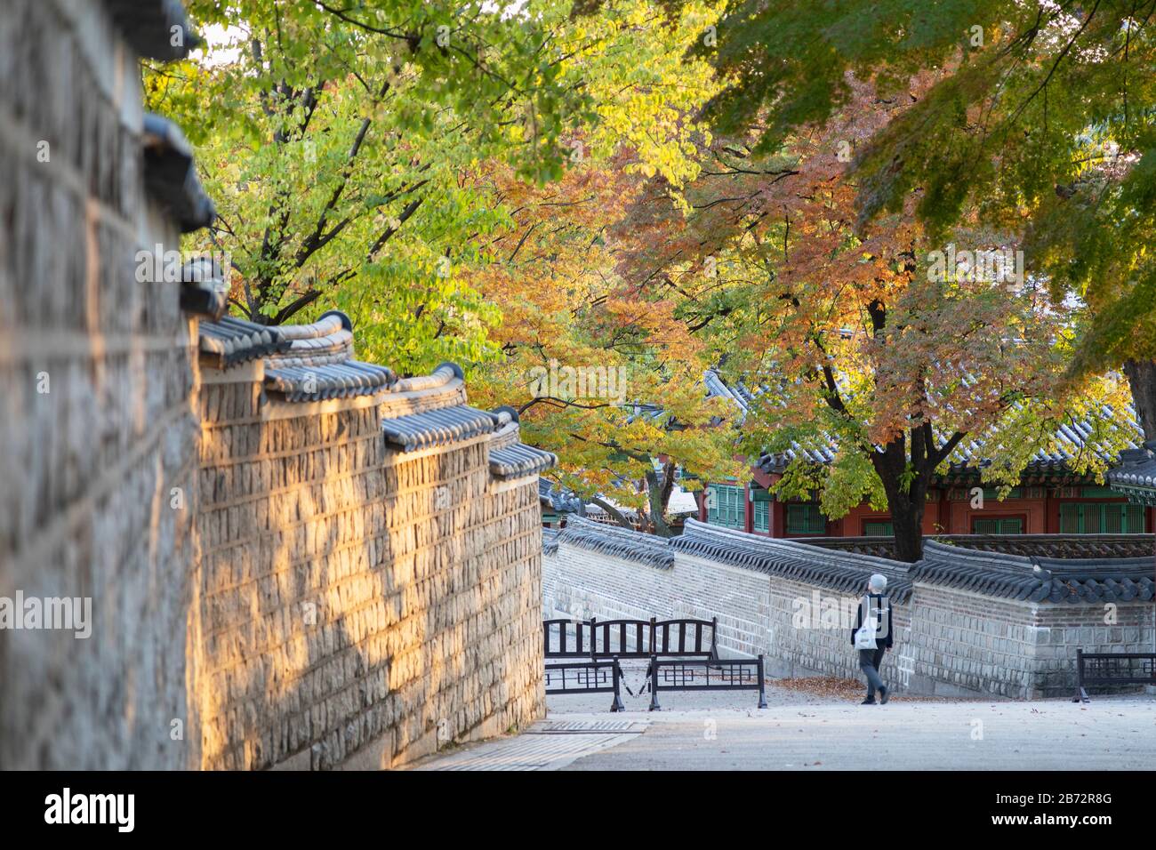 Secret Garden in Changdeokgung Palace (UNESCO World Heritage Site), Seoul, South Korea Stock Photo