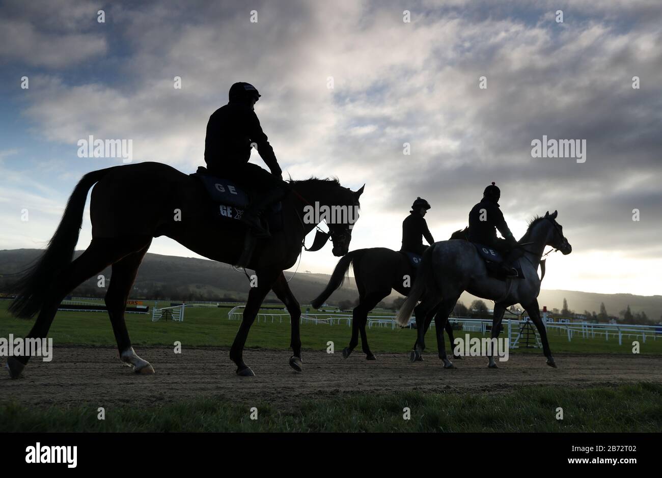 Horses from Gordon Elliott's stables head out to the gallops during day four of the Cheltenham Festival at Cheltenham Racecourse. Stock Photo
