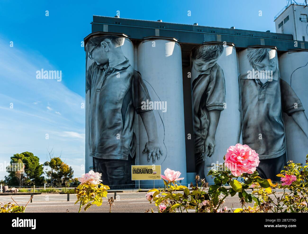 View from rose garden across Duke's Highway to the painted silos featuring children's portraits in Coonalpyn, South Australia. Stock Photo