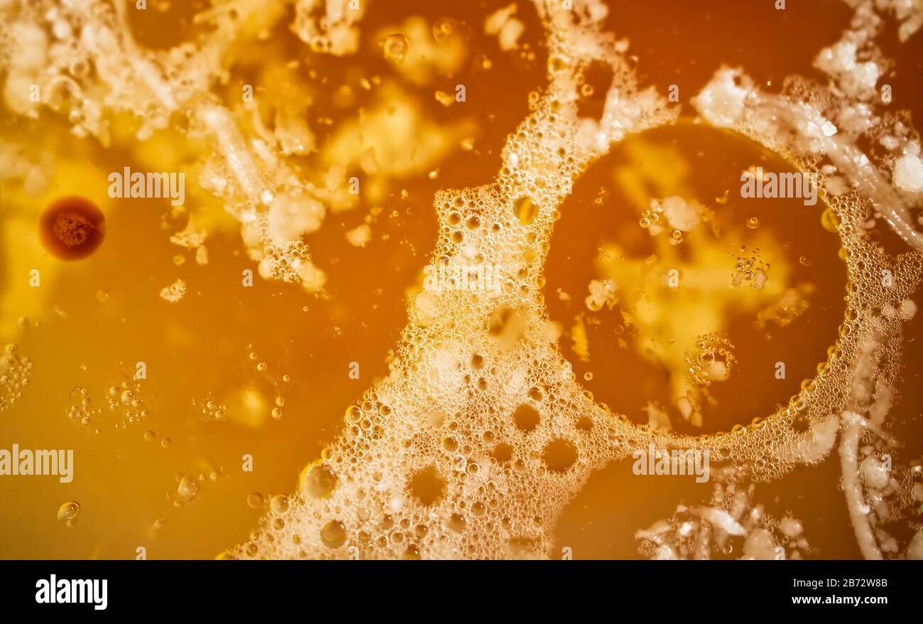 Abstract orange round shape. Texture and background. Macro image. Stock Photo