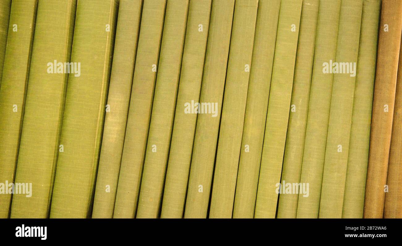 close up of book ends all together on a shelf Stock Photo - Alamy