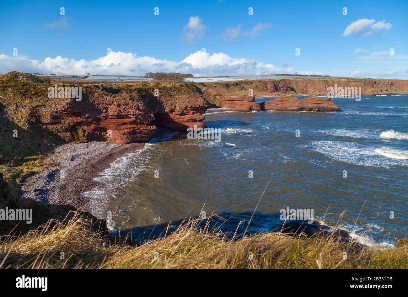Angus coastal footpath hi-res stock photography and images - Alamy