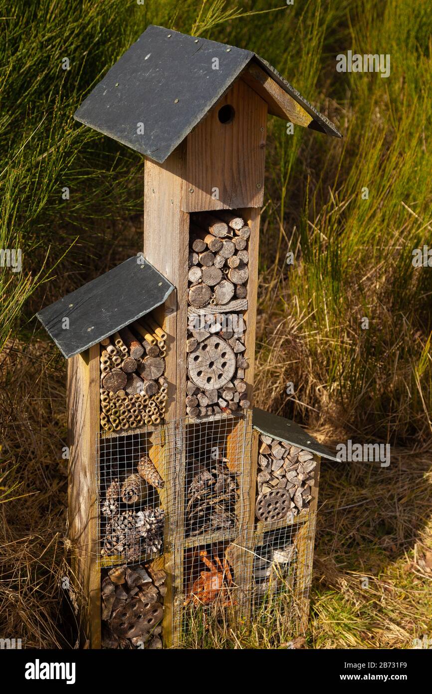 Insect box Bug house Stock Photo