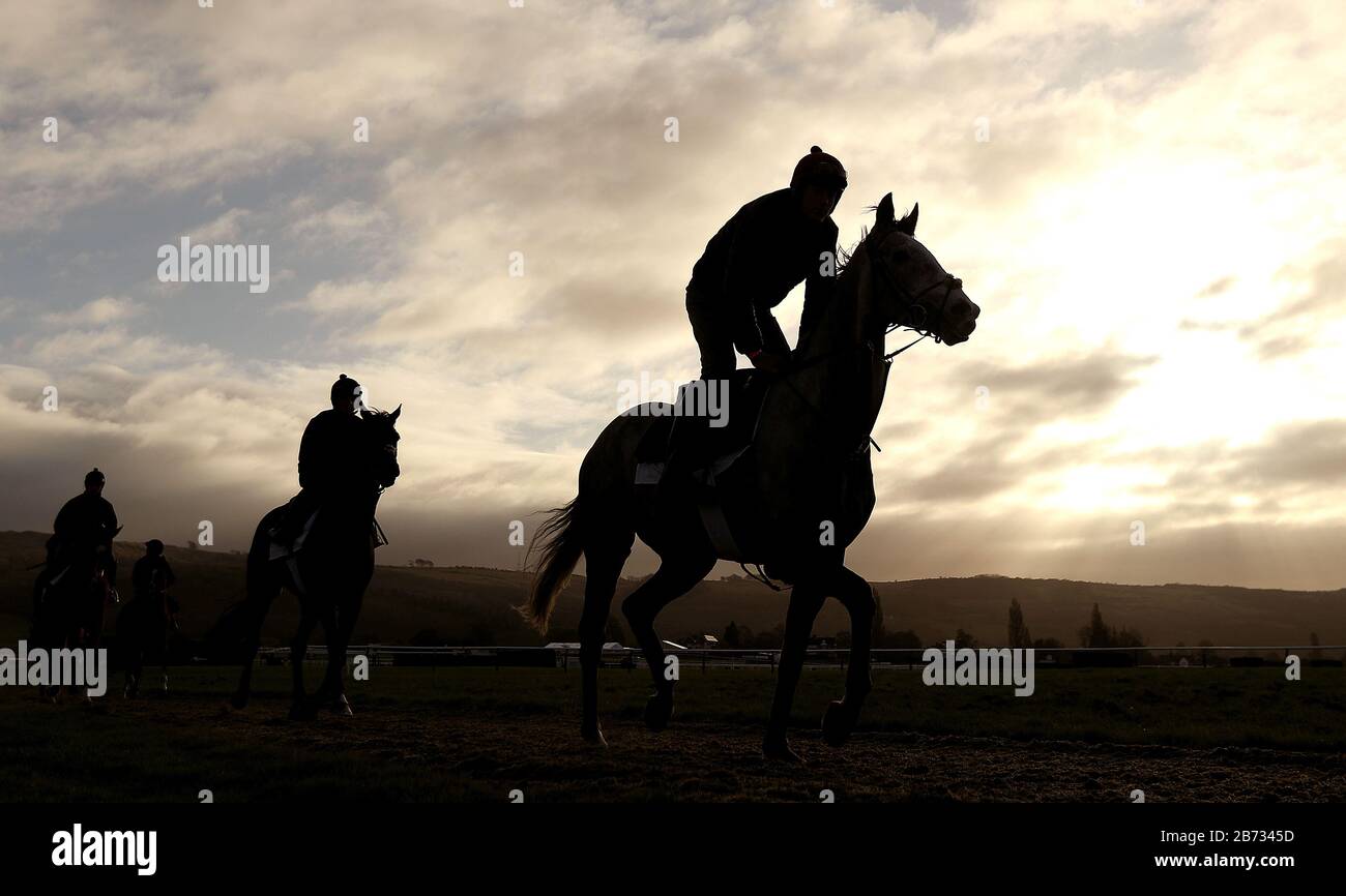Horses on the gallops during day four of the Cheltenham Festival at Cheltenham Racecourse. Stock Photo