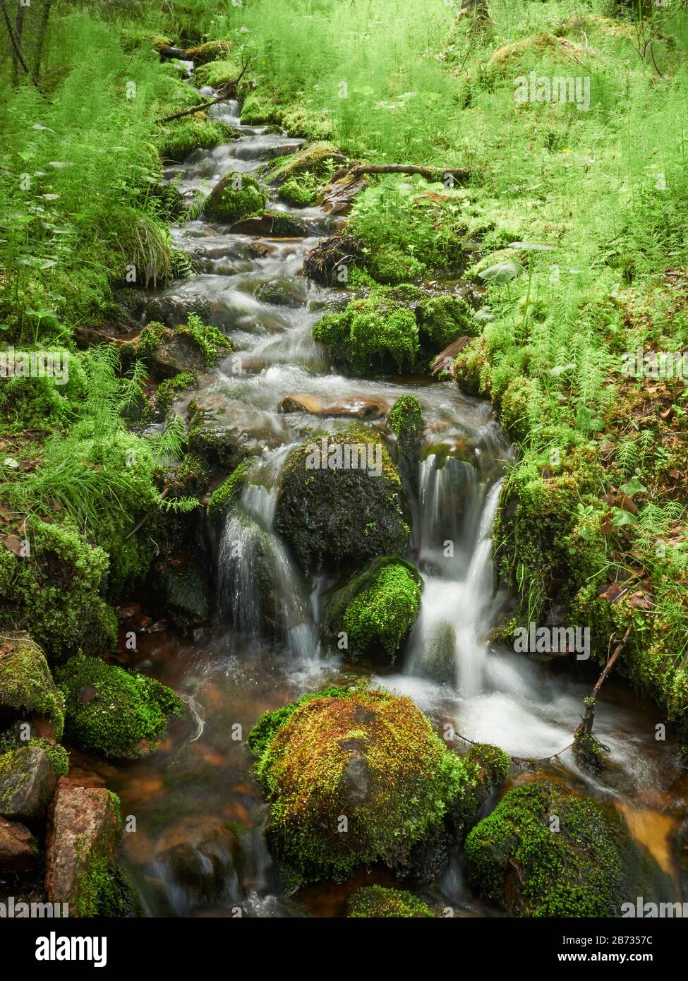 Flowing water in small creek closeup in Yllas, Finland Stock Photo