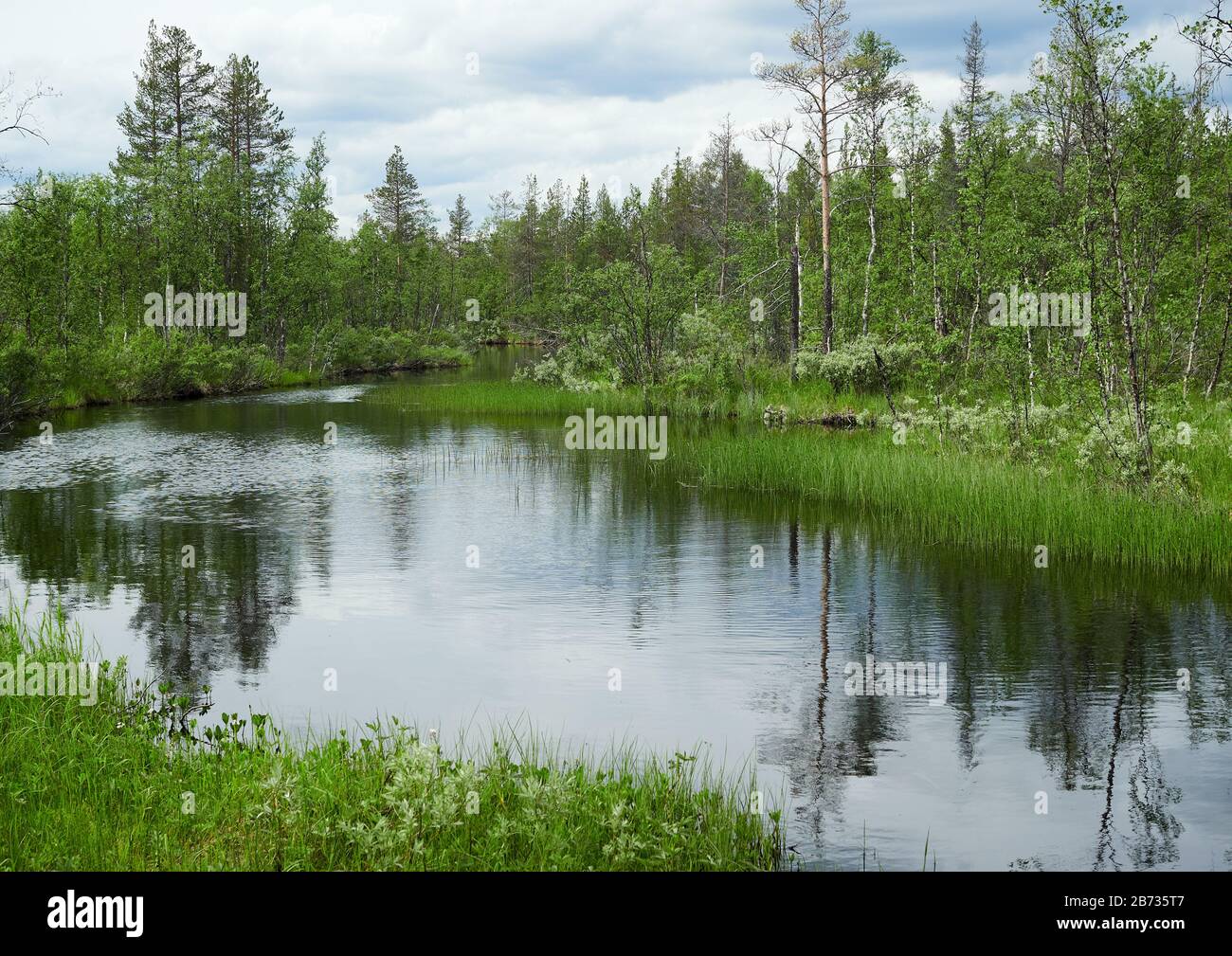 Idyllic summer landscape with clear water of a river in Yllas, Finland. Stock Photo