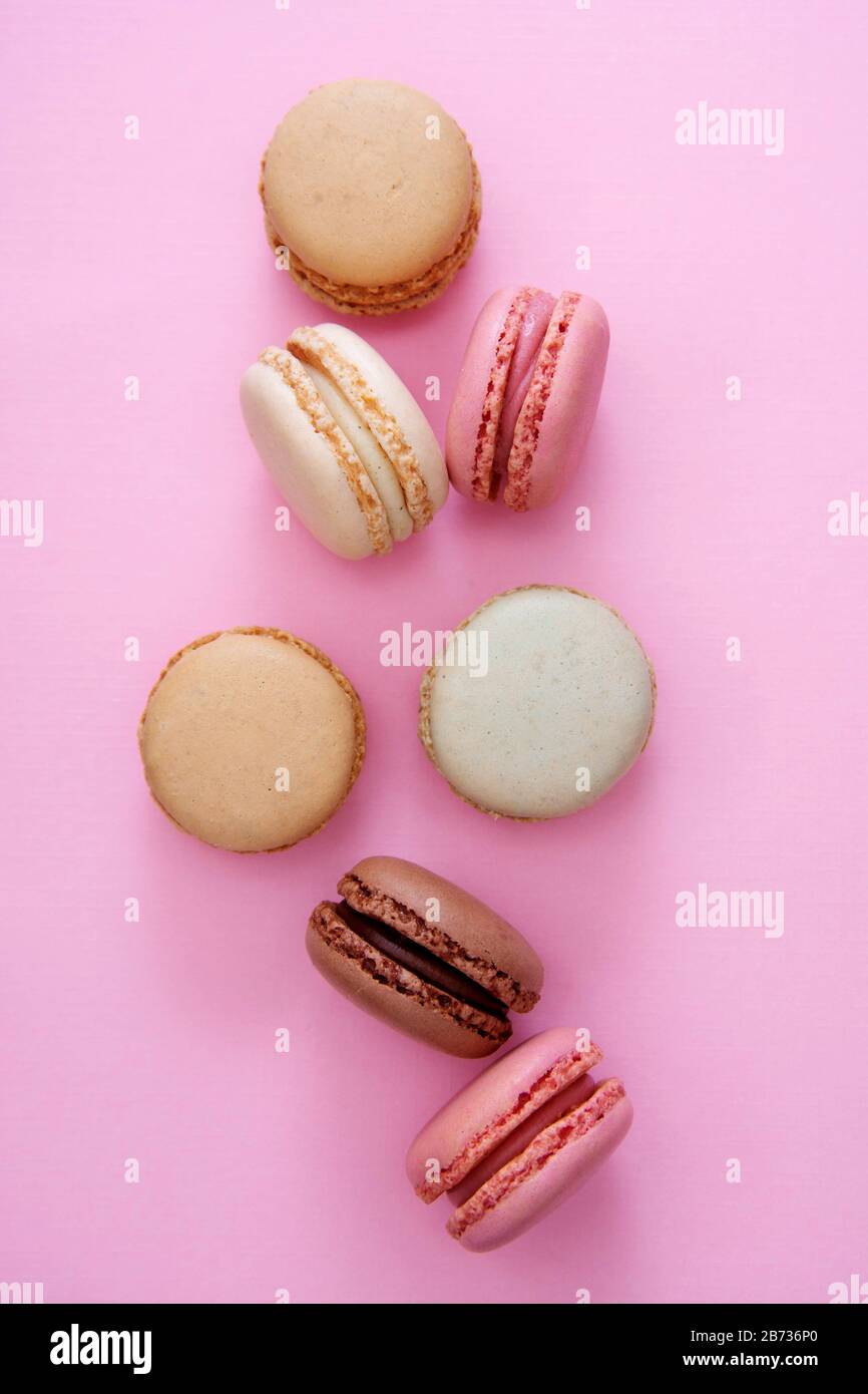 Colorful pink background with french macaroons cookies, copy space. Feminine background. Stock Photo