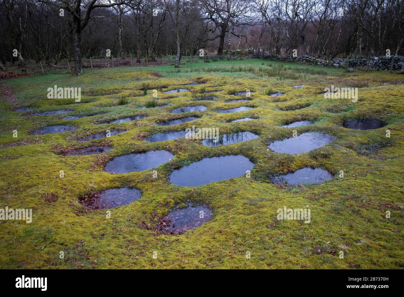 Defensive pits or lillia at the remains of Rough Castle on the Antonine Wall near Bonnybridge in Scotland, UK Stock Photo