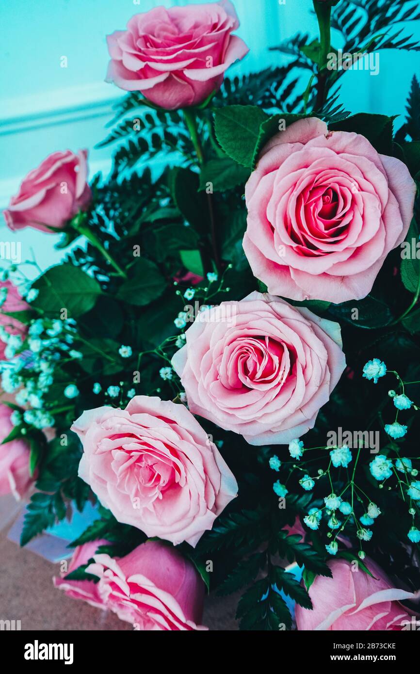 Beautiful bouquet of pink roses Stock Photo - Alamy