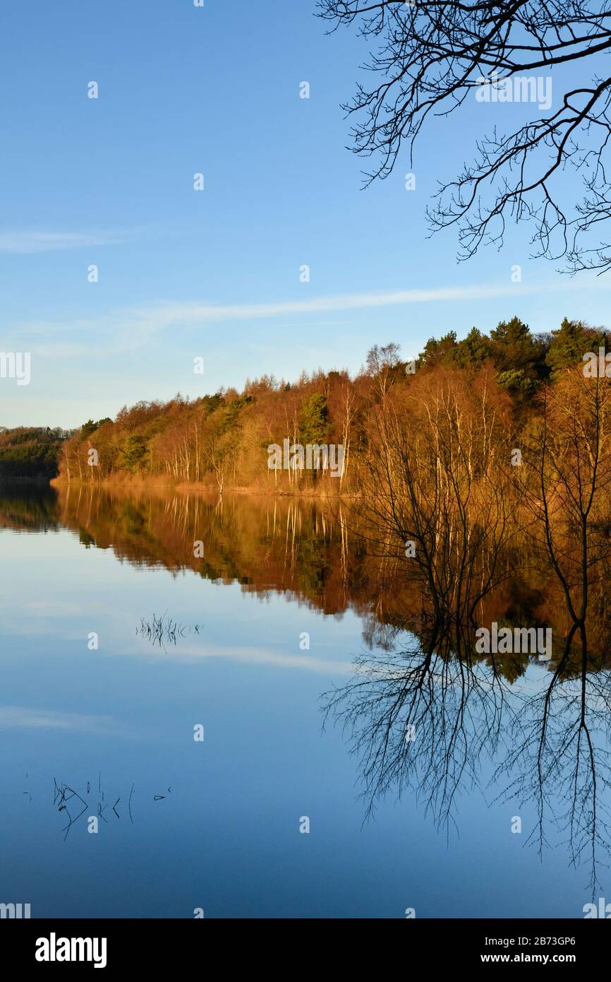 Beautiful scenic landscape (woodland trees, bright autumn colour & blue sky reflected on still calm water) - Fewston Reservoir, Yorkshire, England, UK Stock Photo