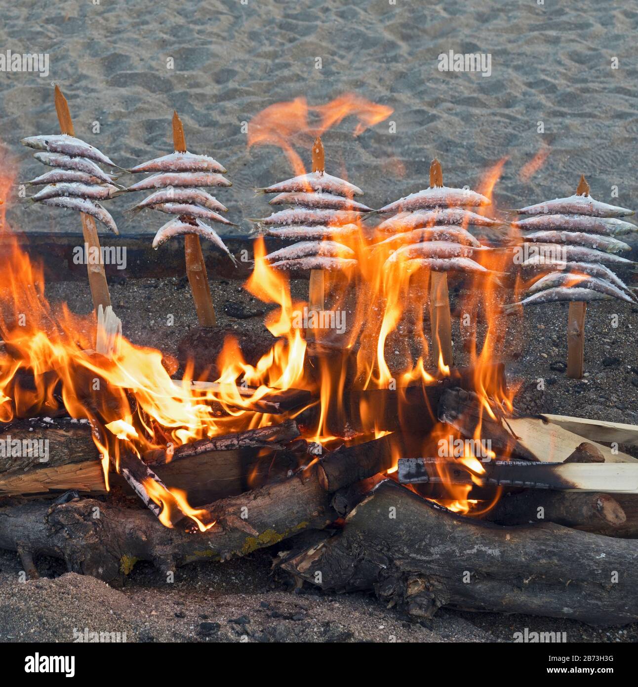 Skewers, or espetos, of sardines roasting on an open fire.  Typical dish on the Spanish Mediterranean. Stock Photo