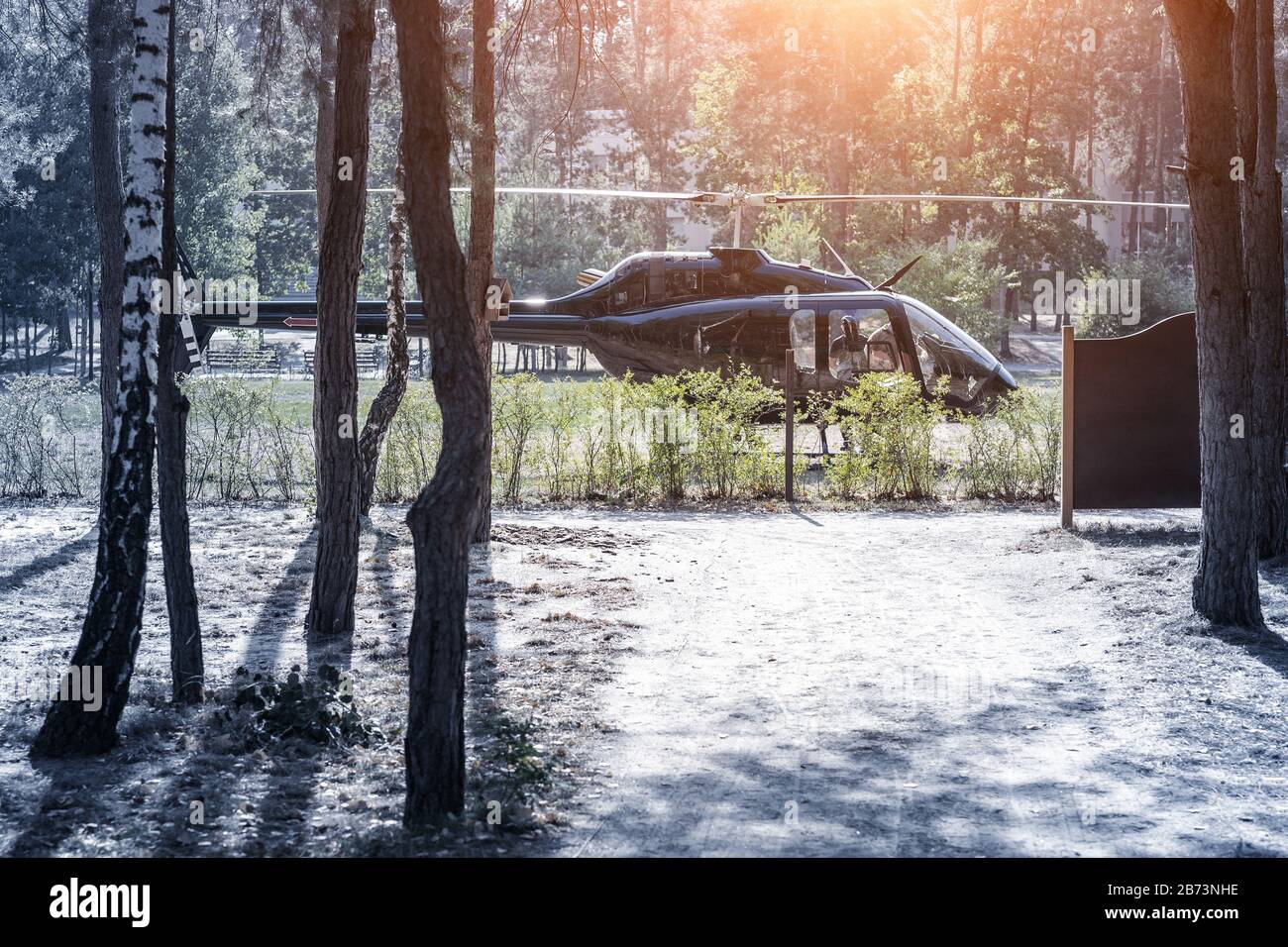 Black private modern luxury helicopter standing on grass field near forest at country rural landscape. Rich buiness lifestyle travel. VIP aero taxi Stock Photo