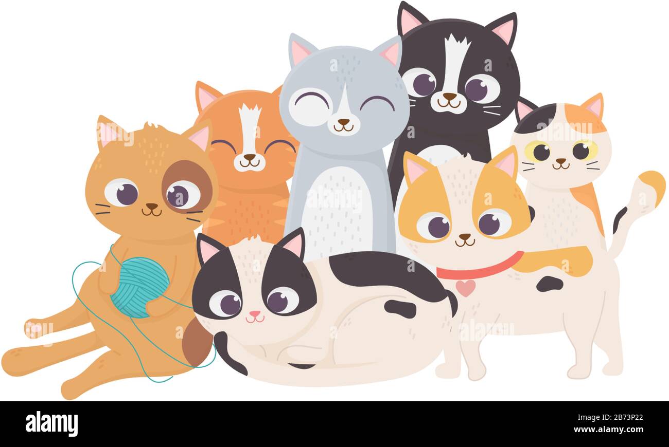 Cute Cat Cartoon Socks — Feline Felons Cat Cafe Events