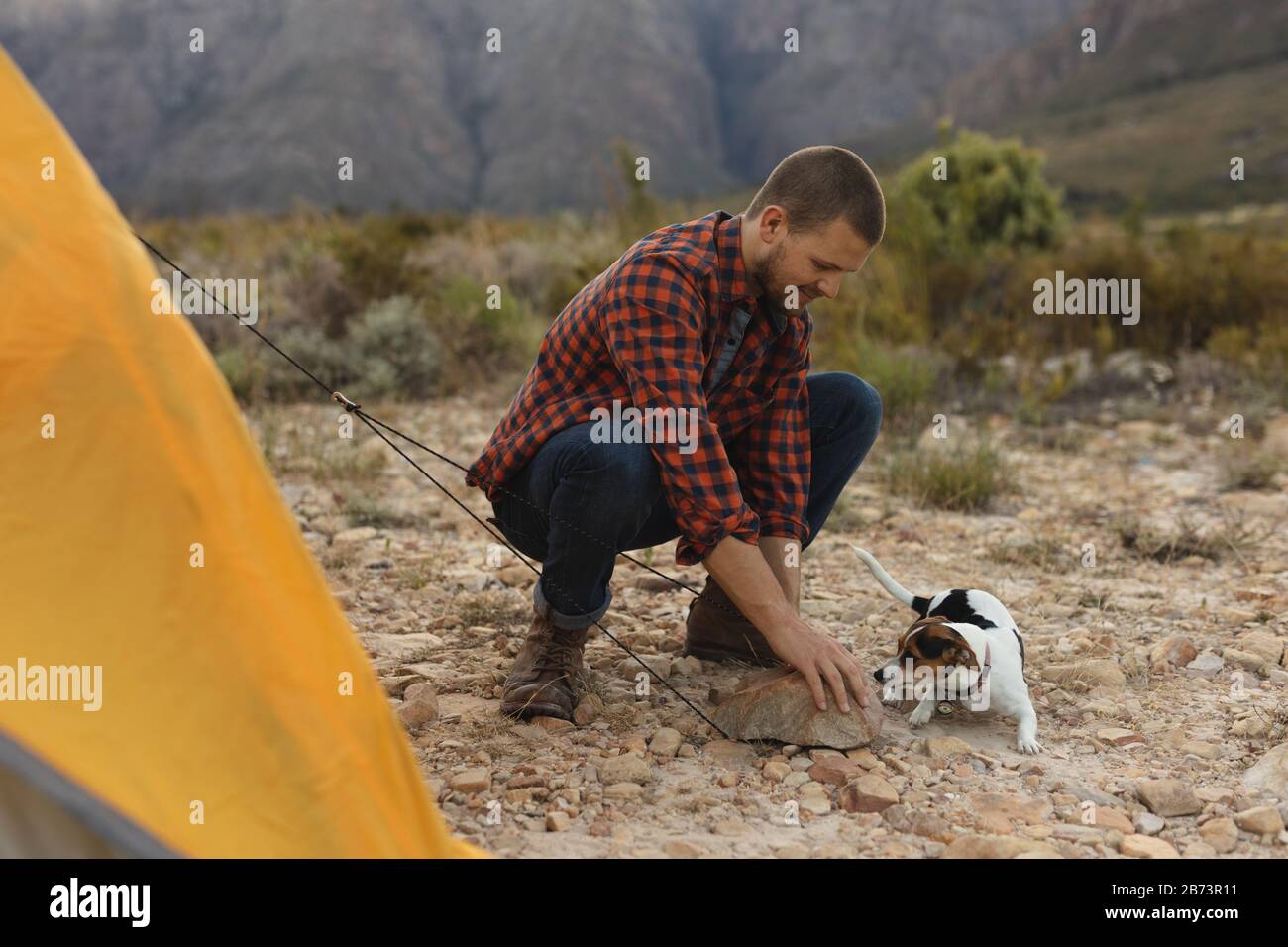 Side view of man installing the tent with his dog Stock Photo