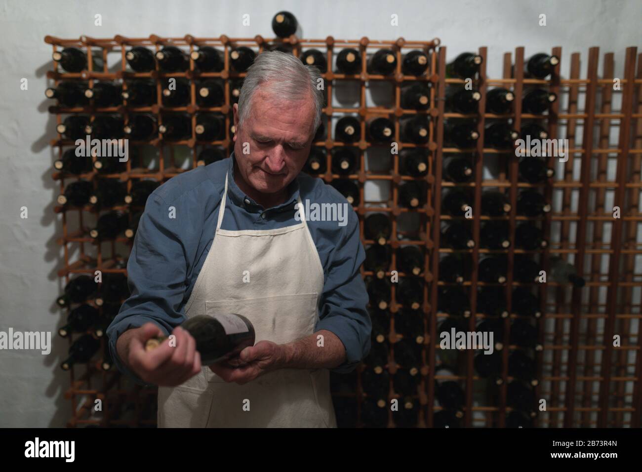 Senior winemaker in his wine cellar Stock Photo