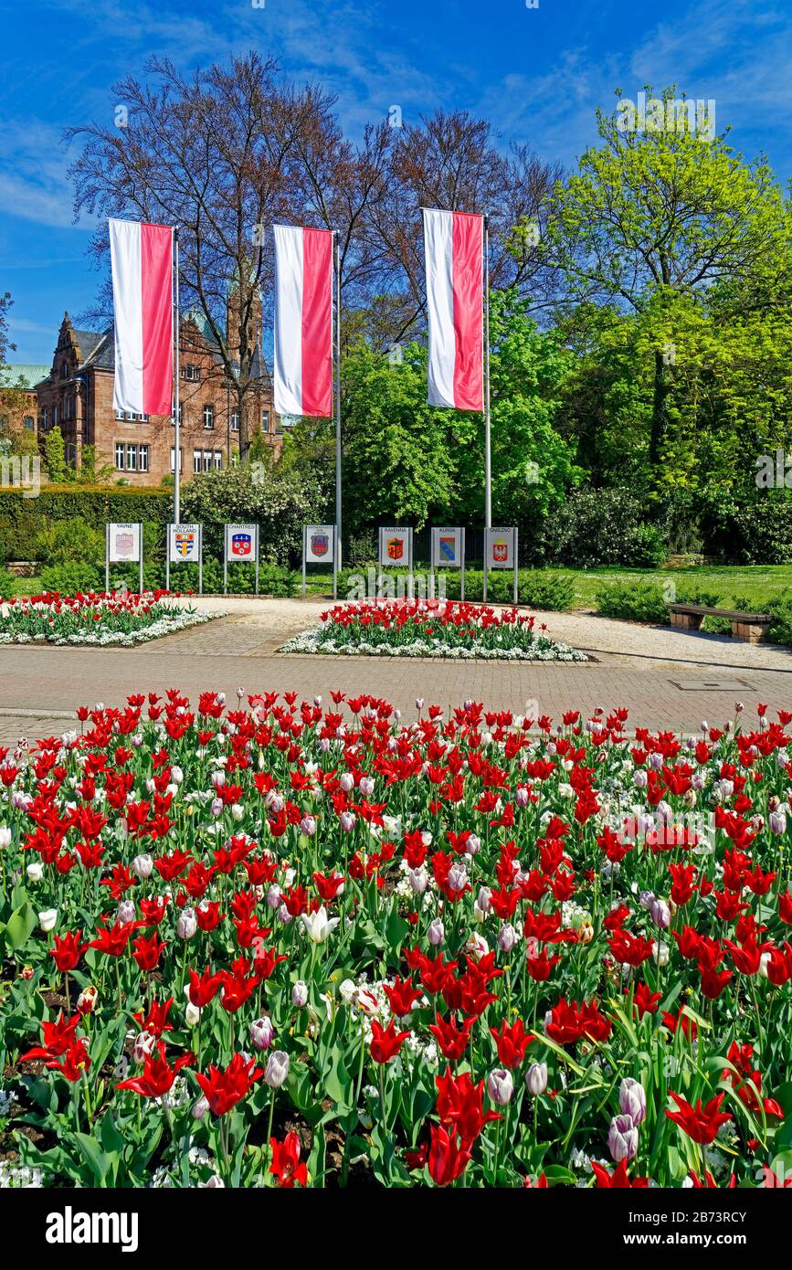 Germany, Rhineland-Palatinate, Speyer, cathedral place, SchUM town, place of the twin towns, beds of tulips, buildings, management, Protestant church Stock Photo