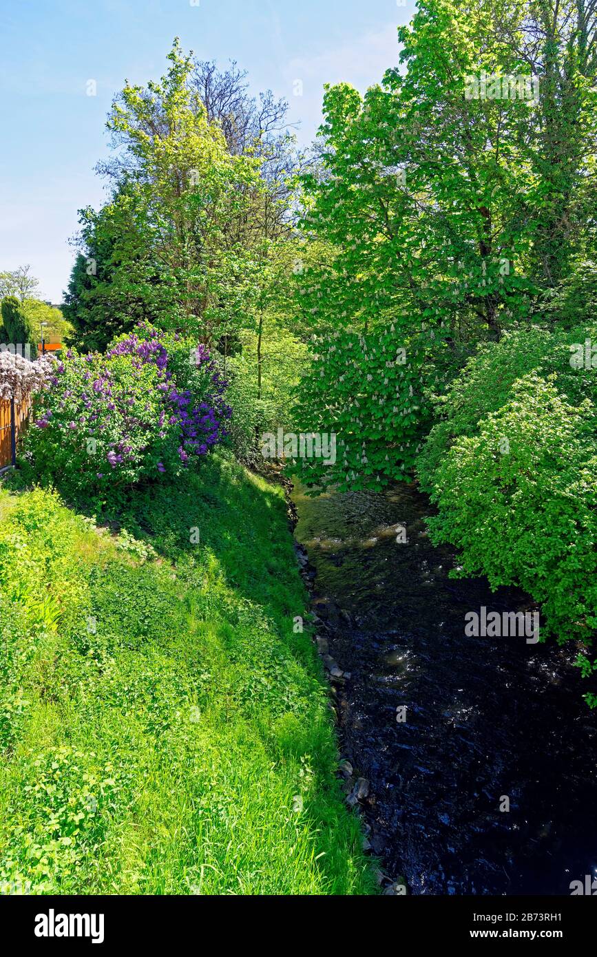 Germany, Rhineland-Palatinate, Speyer, solar bridge, SchUM town, river, Speyer brook, plants, place of interest, tourism, trees, rivers, waters, flowe Stock Photo