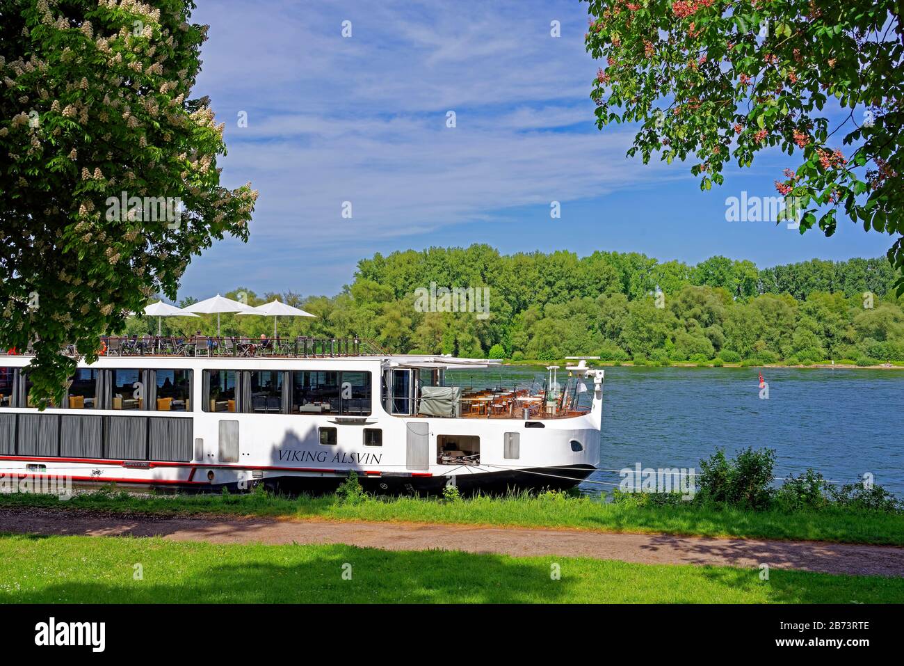 Germany, Rhineland-Palatinate, Speyer, Rhine avenue, SchUM town, river, the Rhine, river cruise ship, chestnut tree, blossoms, red, knows, plants, tre Stock Photo