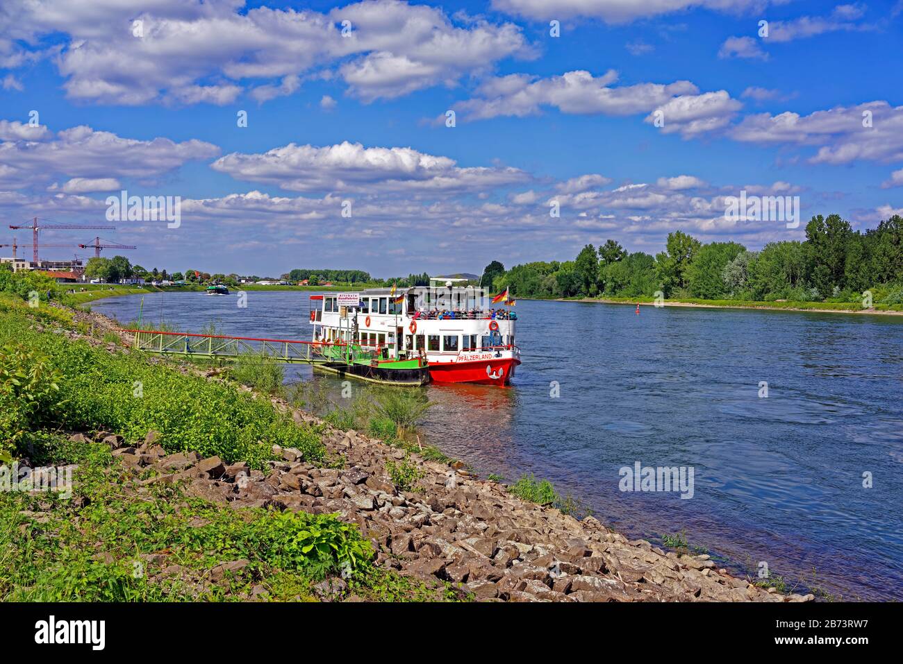 Germany, Rhineland-Palatinate, Speyer, Rhine avenue, SchUM town, river, the Rhine, round trip ship, inland ship, plants, trees, people, people, place Stock Photo