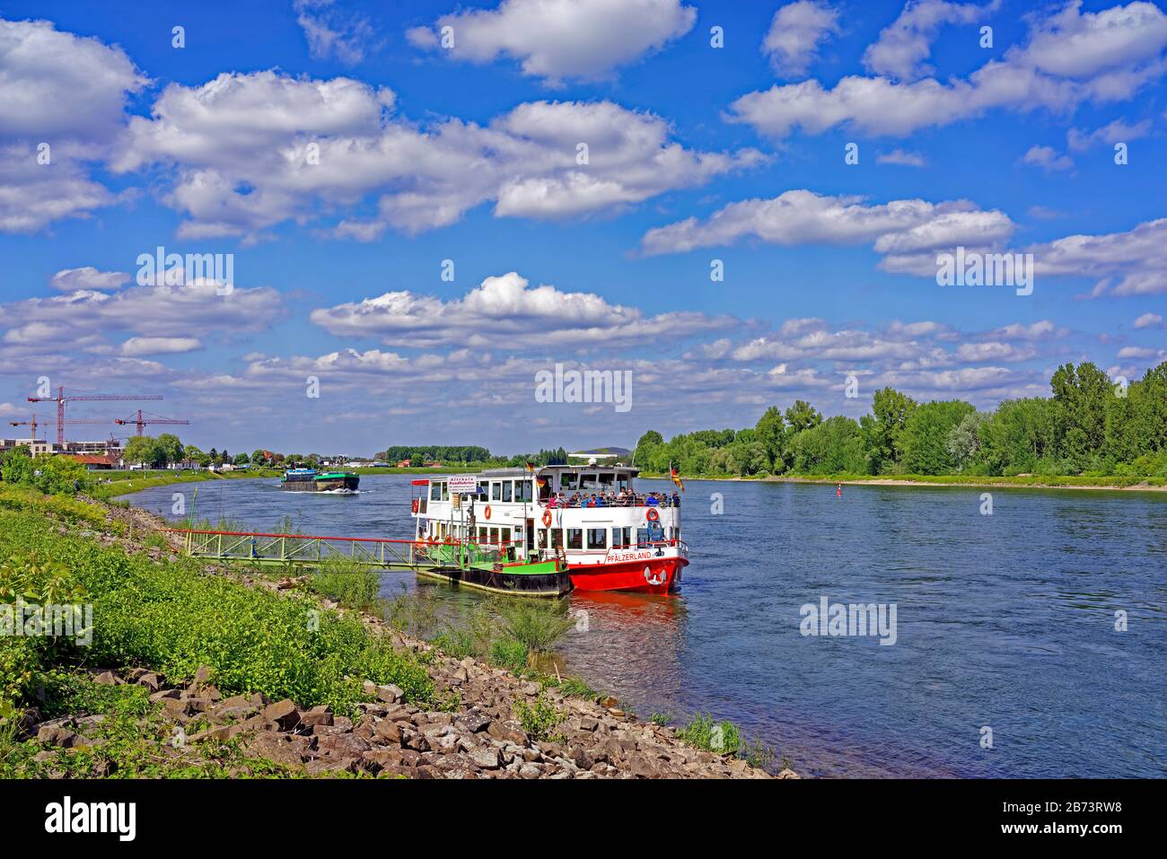 Germany, Rhineland-Palatinate, Speyer, Rhine avenue, SchUM town, river, the Rhine, round trip ship, inland ship, plants, trees, people, people, place Stock Photo