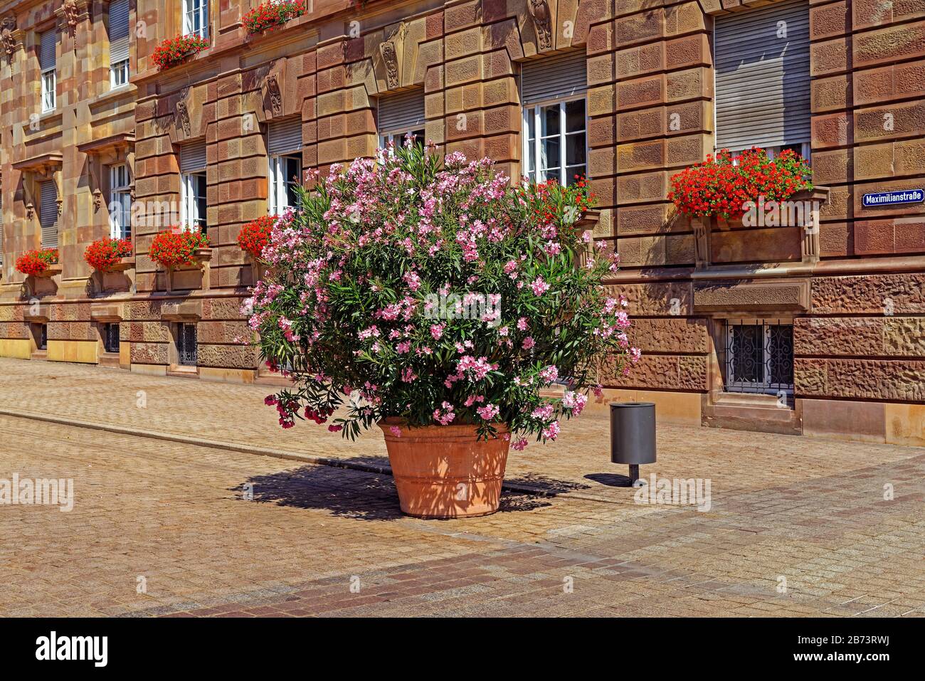 Germany, Rhineland-Palatinate, Speyer, cathedral place, SchUM town, town house, oleander, geraniums, place of interest, tourism, building, architectur Stock Photo