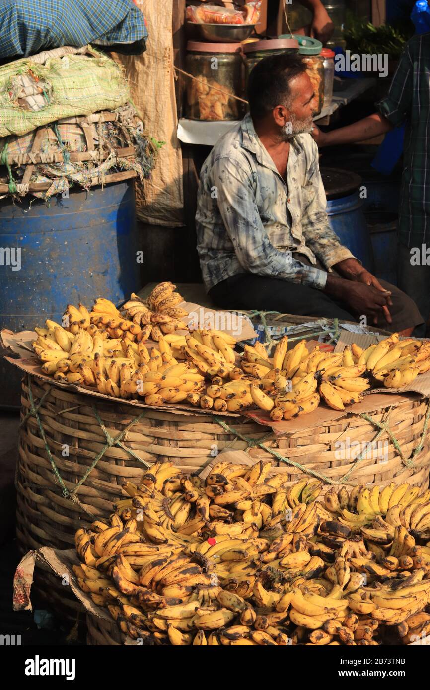 Indian banana hires stock photography and images Alamy