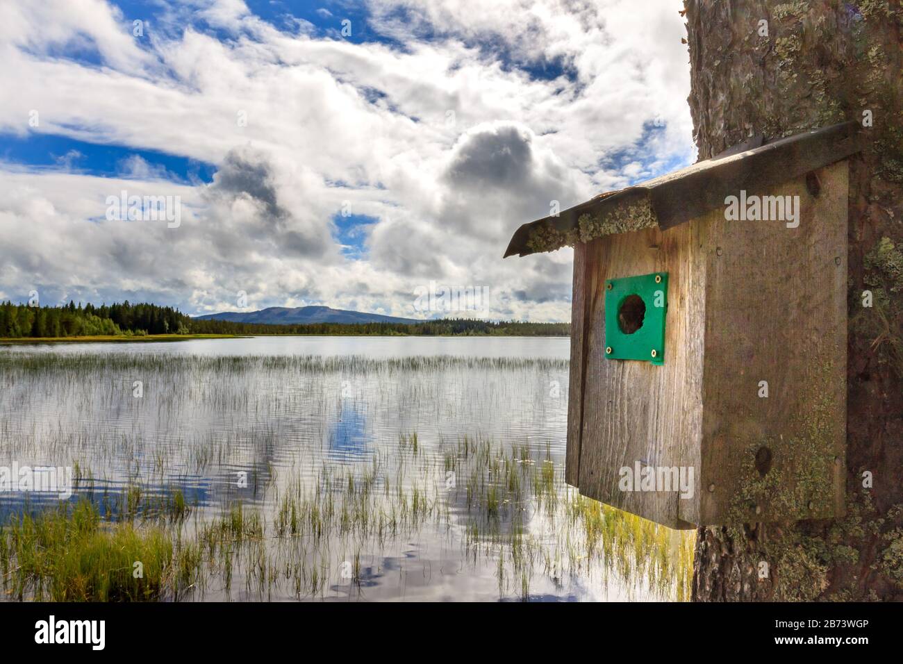 Bird house with green entrance hole overseeing beautiful lake. Location, location, location as they say in real estate. Stock Photo