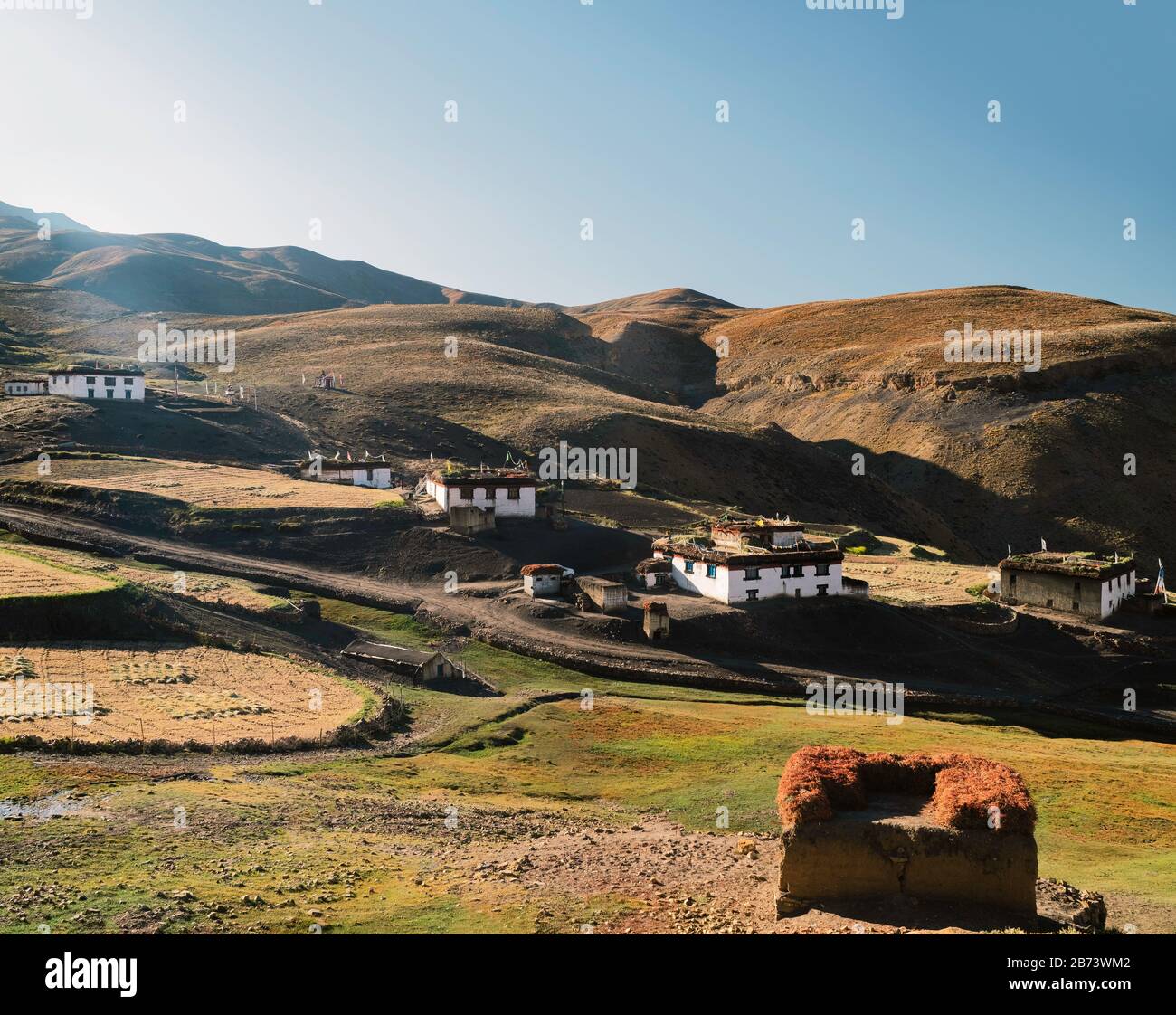 Traditional village houses with animal fodder on roofs in Spiti valley and flanked by Himalayas in summer in Komic, Himachal Pradesh, India. Stock Photo