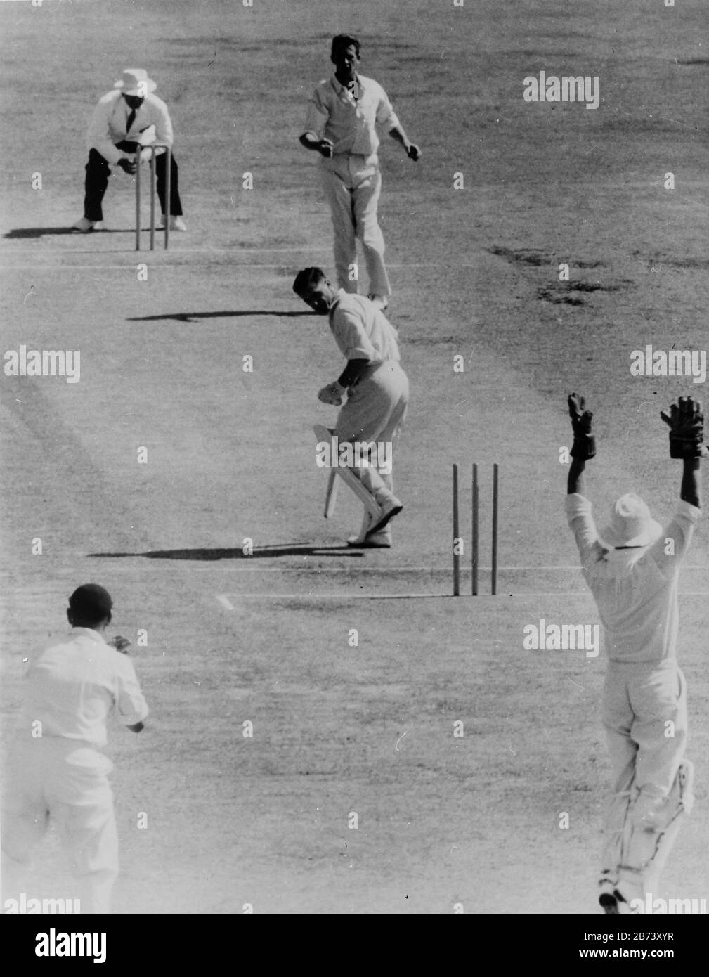 neil harvey, brian statham, cricket, brisbane 1962 Stock Photo