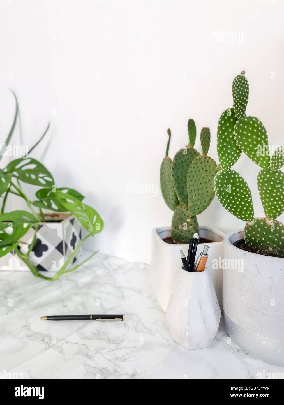 Clean White Work Desk With Stationery And Multiple Green Plants