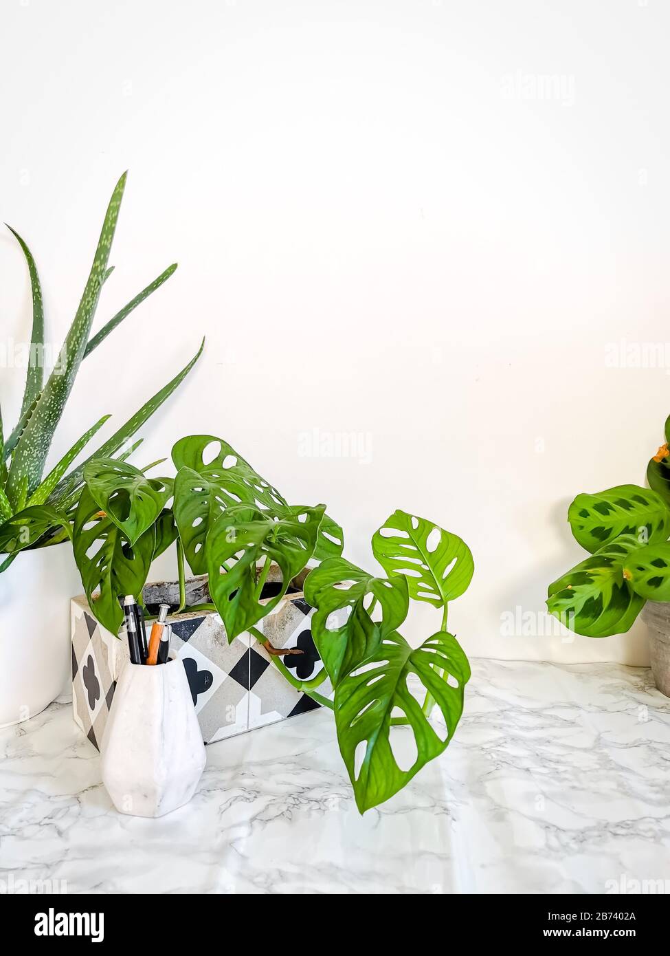 White Clean Work Desk With Numerous Green Plants For A Relaxing No
