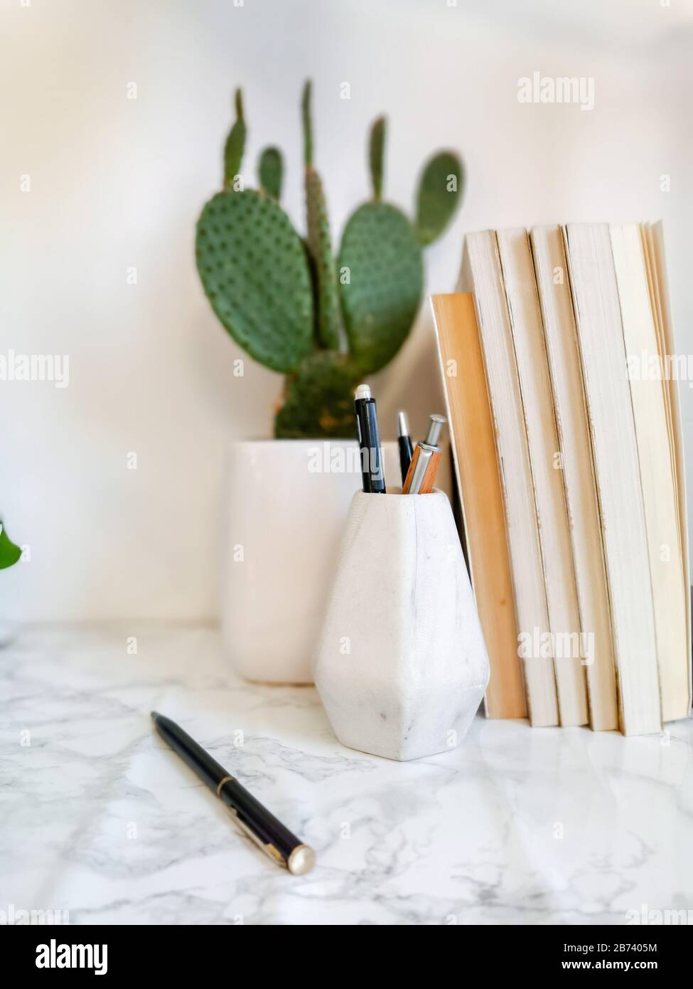 Home office desk with indoor plants such as a cactus and stationery on a white background