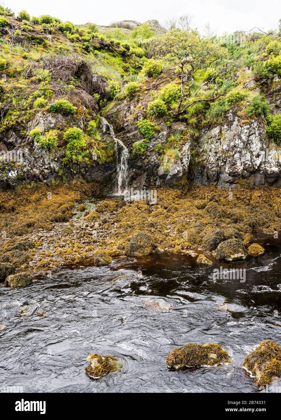 A waterfall drops into the River Creed, near where it flows into Stornoway harbour, seen from the grounds of Lews Castle, Stornoway, Scotland, UK. Stock Photo