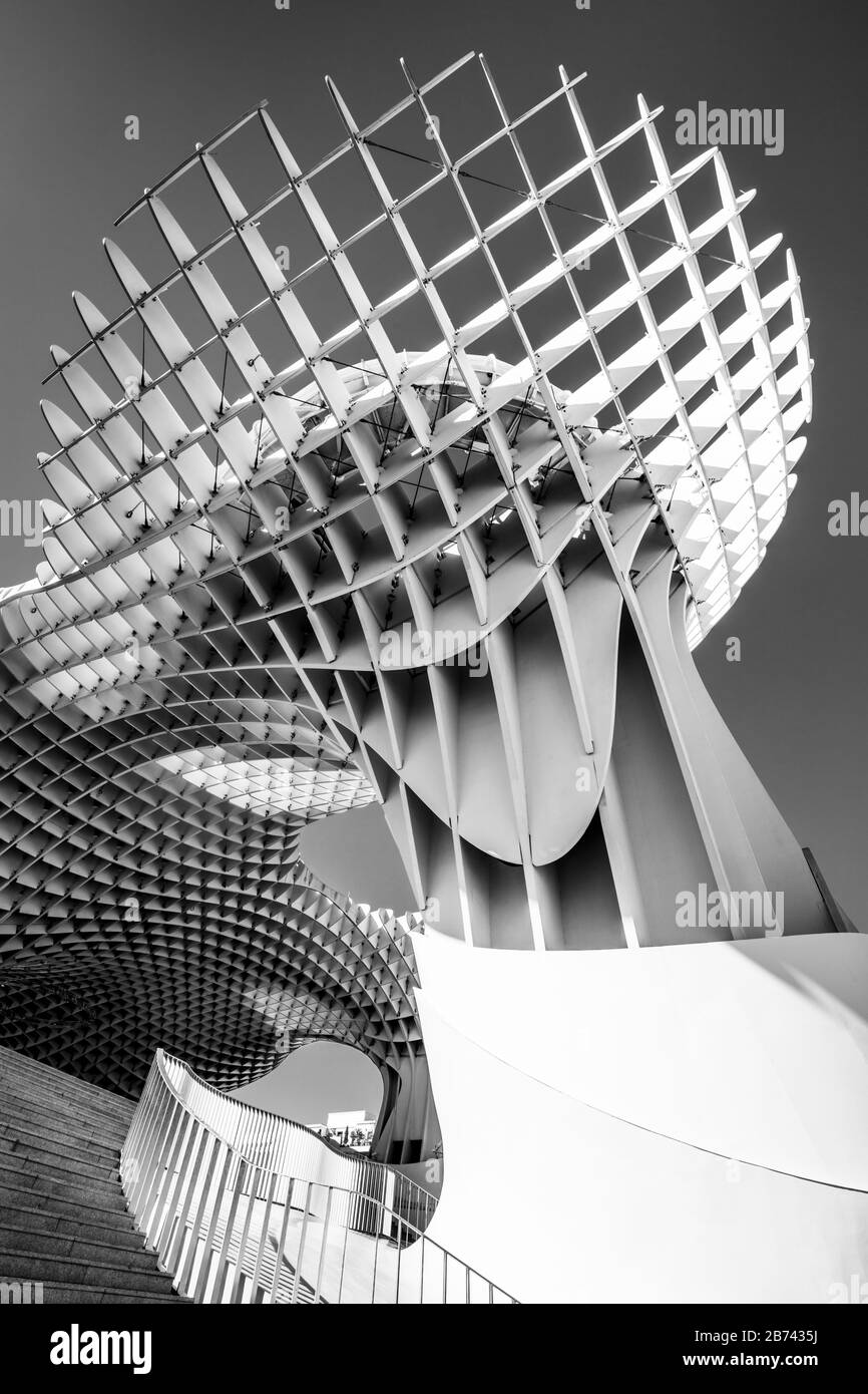 Seville Metropol Parasol Seville Sevilla Mushrooms Las Setas De Sevilla Plaza de la Encarnación Seville Spain seville Andalusia EU Europe monochrome Stock Photo