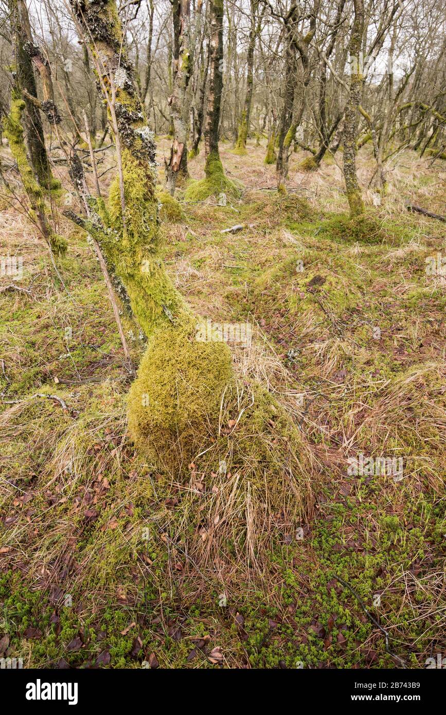 Malham Tarn Field Study Centre Stock Photo Alamy