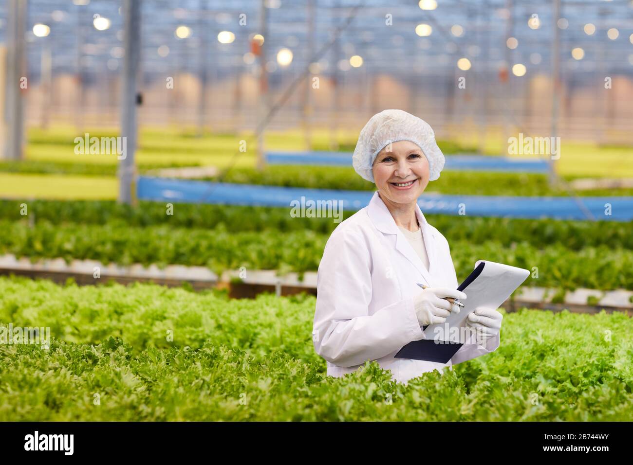 Portrait of mature woman in white lab coat holding document and smiling at camera while growing lettuce in greenhouse Stock Photo
